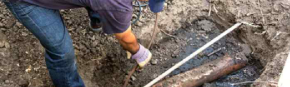 ▷Reasons For Sewer Line Backing Up Rolando