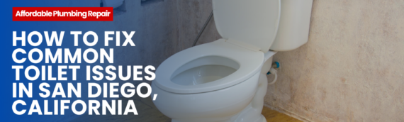 How to Fix Common Toilet Issues in San Diego, California